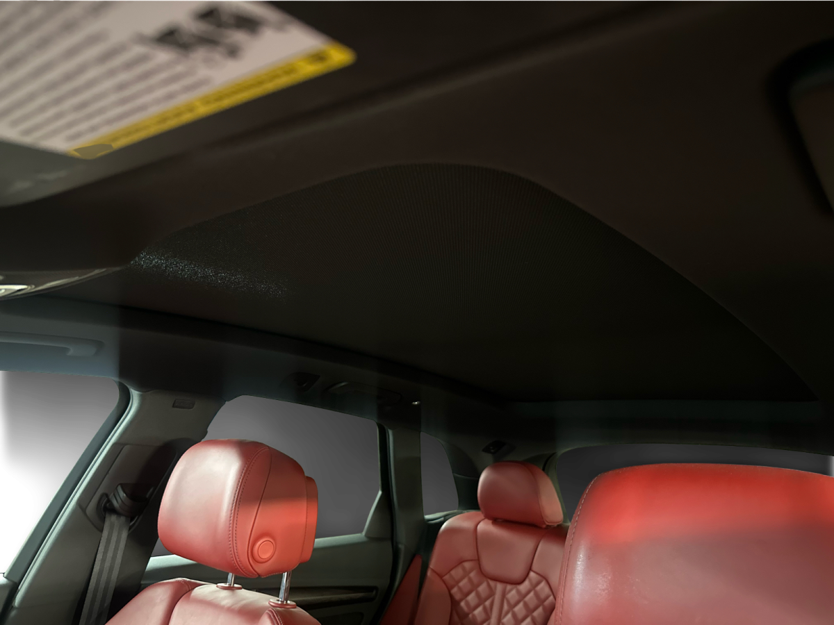 2019 Audi SQ5 - Image 19