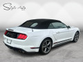 2022 Ford Mustang - Thumbnail 66