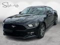 2015 Ford Mustang - Thumbnail 78