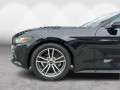 2015 Ford Mustang - Thumbnail 86